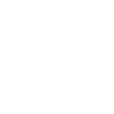 LIC Vet Center Logo_Square White